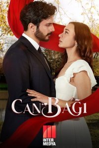  Струны любви 