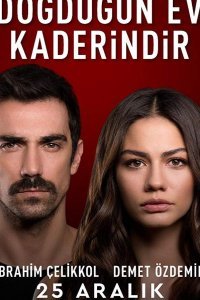 Мой родной дом