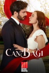  Струны любви 